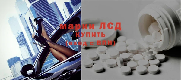 ПСИЛОЦИБИНОВЫЕ ГРИБЫ Осинники