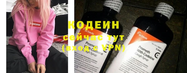 твердый Осташков