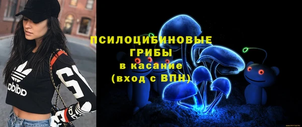 стаф Остров