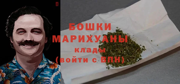 ПСИЛОЦИБИНОВЫЕ ГРИБЫ Осинники