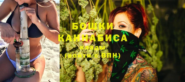 твердый Осташков