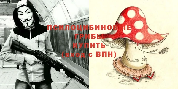 ПСИЛОЦИБИНОВЫЕ ГРИБЫ Осинники
