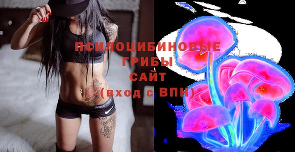 ПСИЛОЦИБИНОВЫЕ ГРИБЫ Осинники
