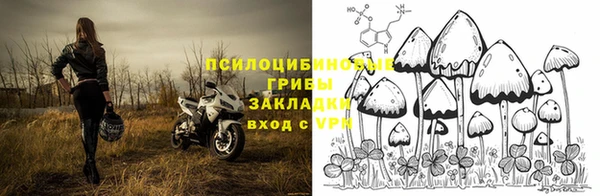 ПСИЛОЦИБИНОВЫЕ ГРИБЫ Осинники