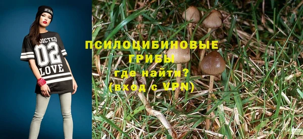 ПСИЛОЦИБИНОВЫЕ ГРИБЫ Осинники