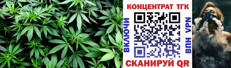 ТГК THC oil  Шагонар 