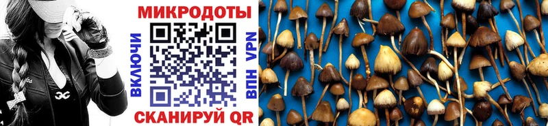 Галлюциногенные грибы Psilocybine cubensis Шагонар
